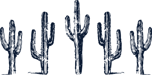 Five illustrated cacti