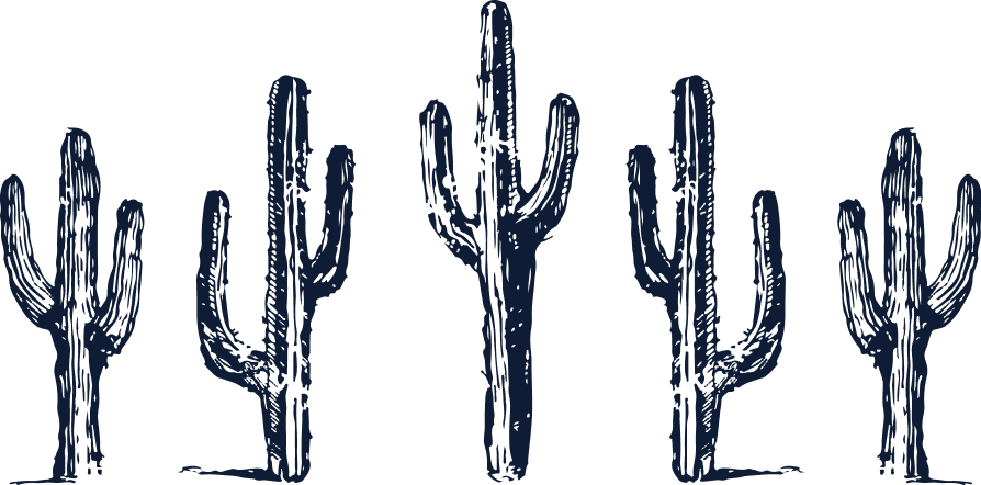 Cactus outline